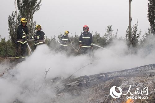 圖為新疆阿克蘇市一果園林帶著火。